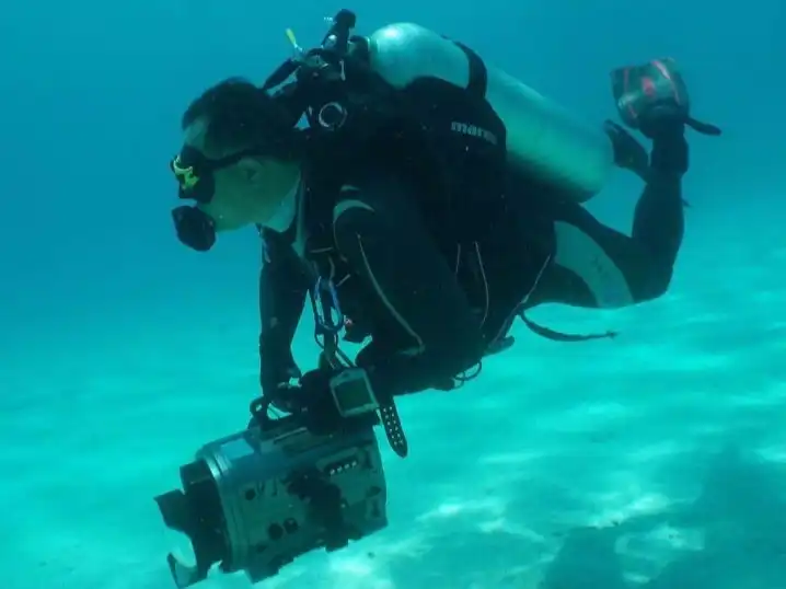 Diver